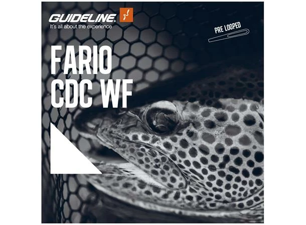 Guideline Fario CDC WF -perhosiima 4 Guideline Fario CDC WF -perhosiima - Image 2