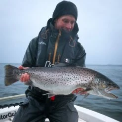 Vision Meri -perhovavat -Perho Kauppa IMG 0649 600x600 1