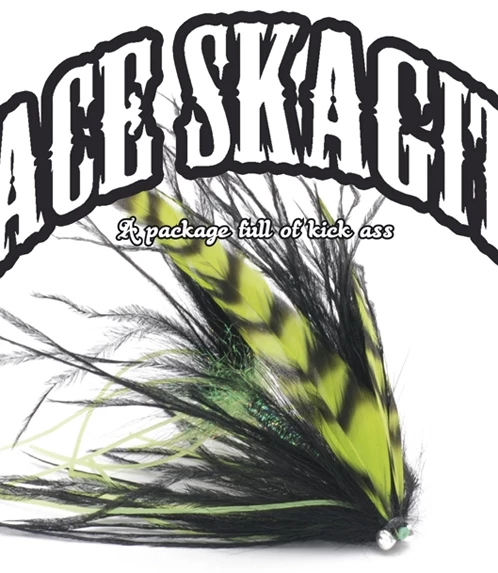 Vision Ace Skagit (F) Kelluva Runko + T-tip 3 Vision Ace Skagit (F) Kelluva Runko + T-tip